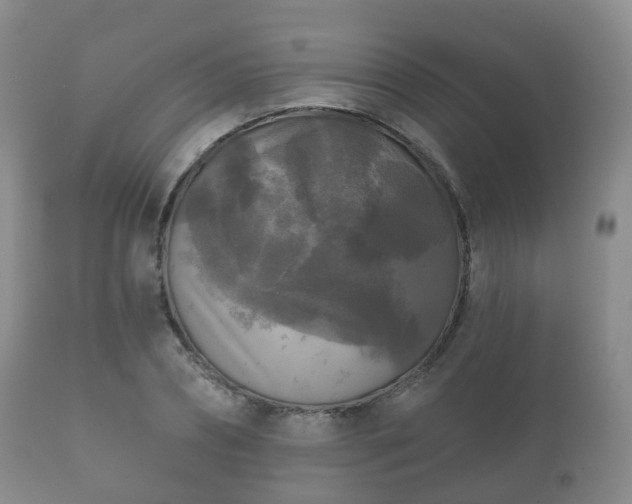 X0000112350882200908201437