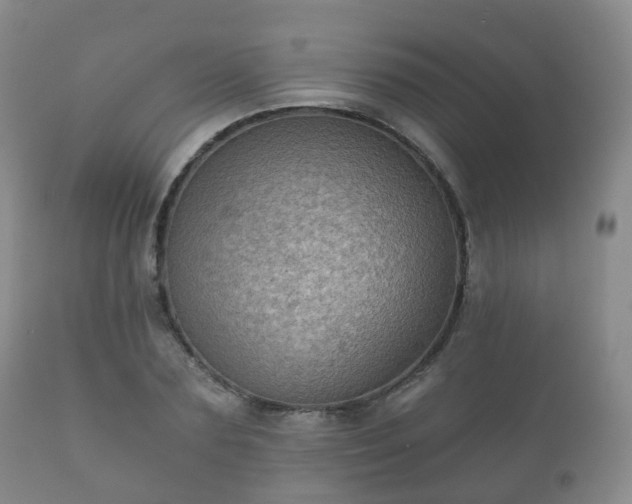X0000112350883200908201437