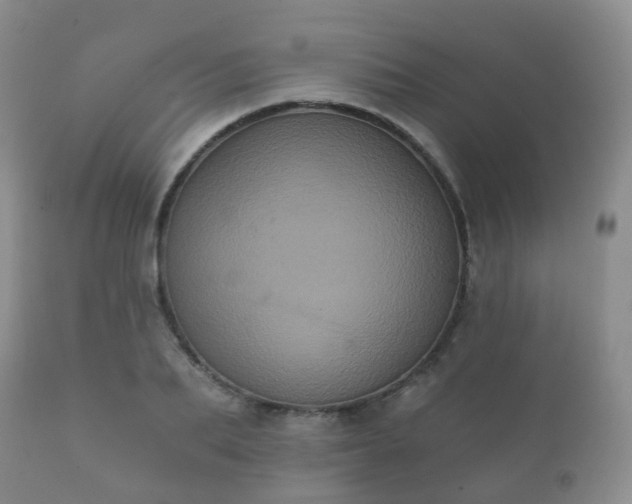 X0000112350887200908201437