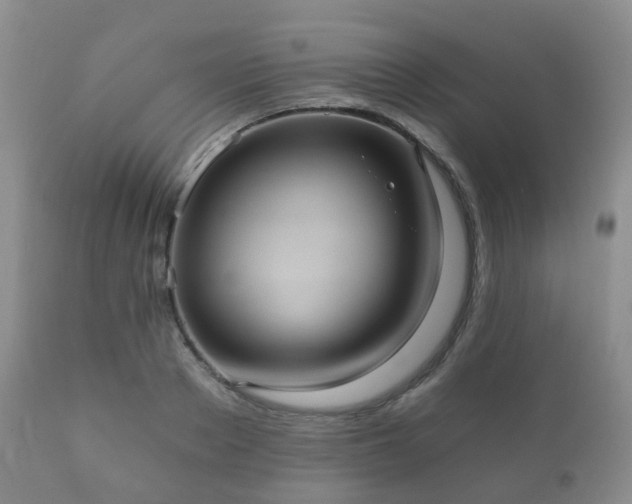 X0000112350889200908201437
