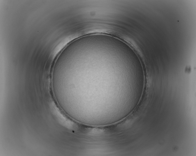 X0000112350890200908201437