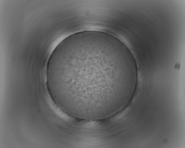 X0000112350891200908201437