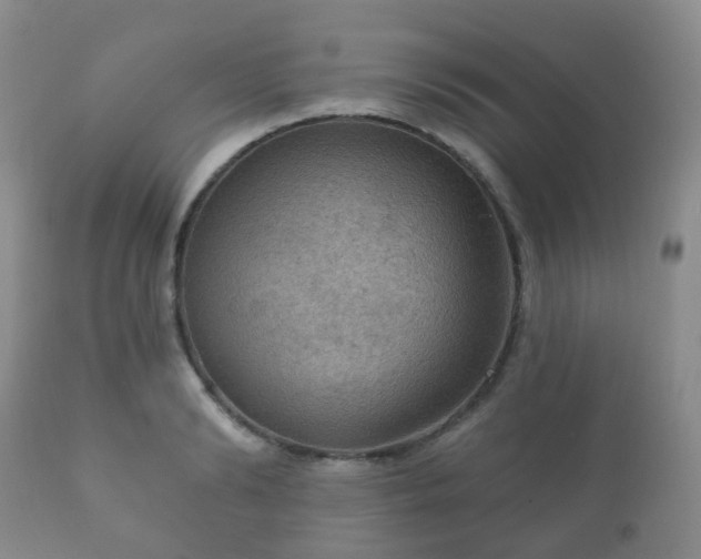 X0000112350894200908201437