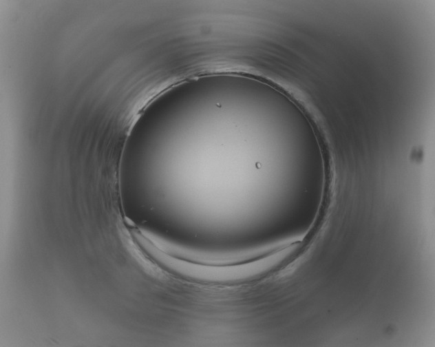 X0000112350897200908201437