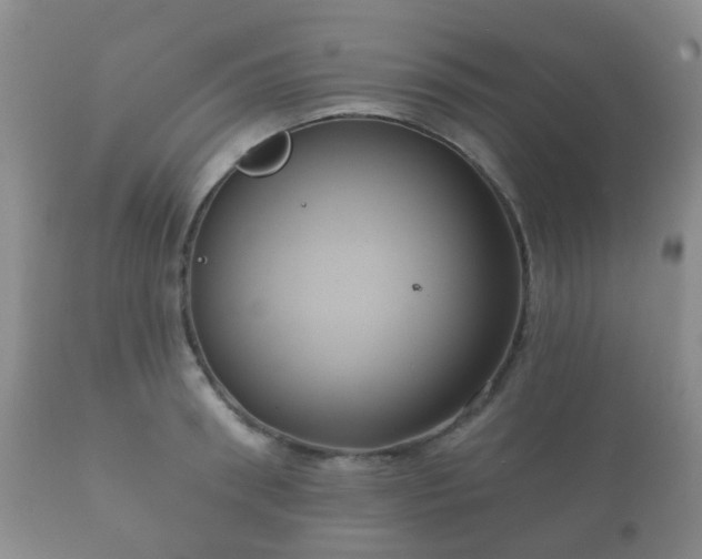 X0000112350898200908201437