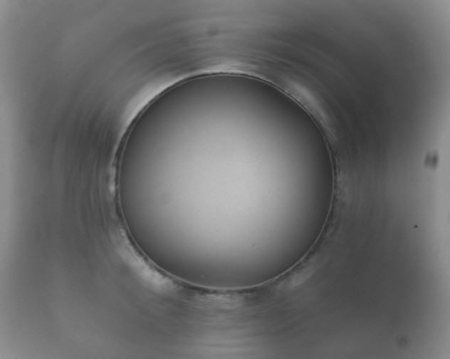 X0000112350900200908201437