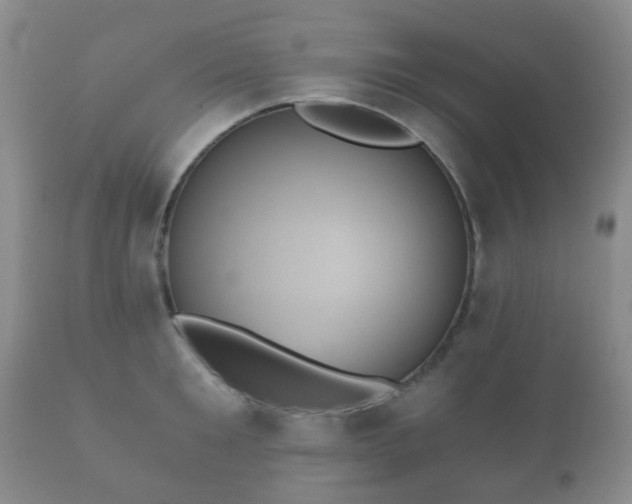 X0000112350901200908201437