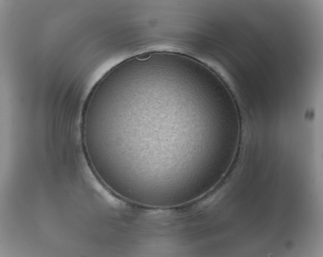 X0000112350902200908201437