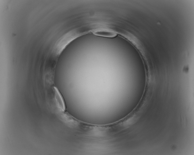 X0000112350905200908201437