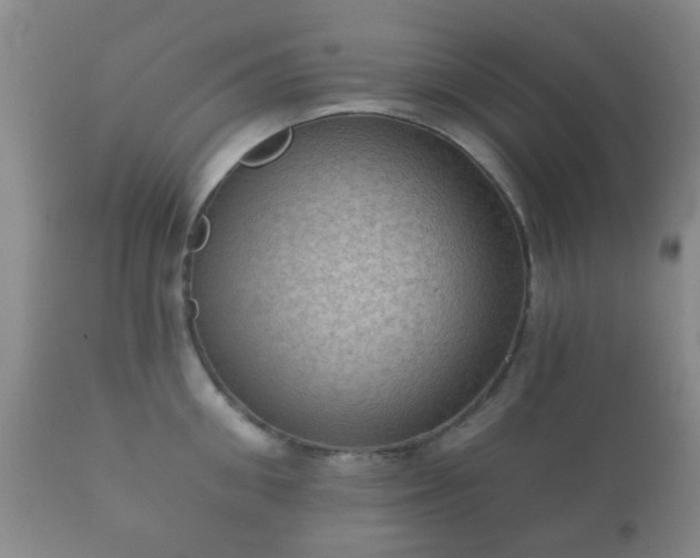 X0000112350906200908201437