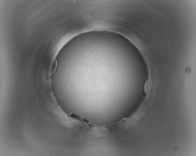 X0000112350912200908201437