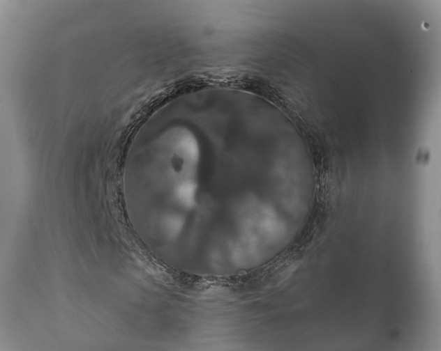 X0000112350913200908201436