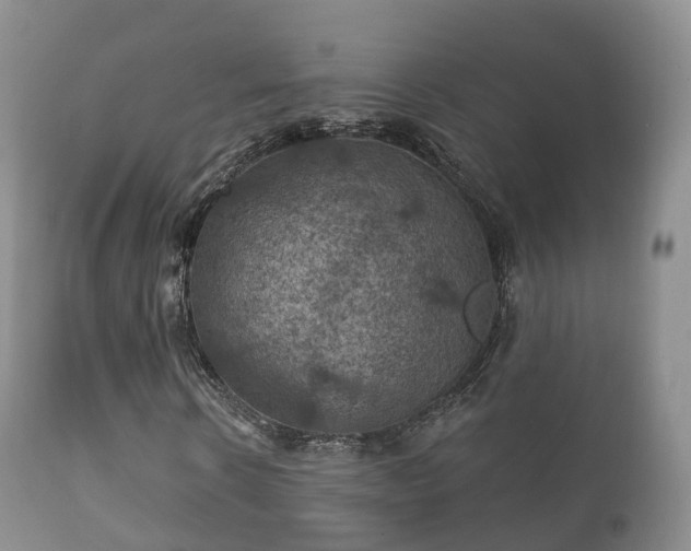 X0000112350914200908201436