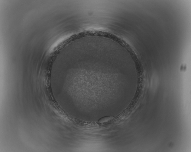 X0000112350919200908201436