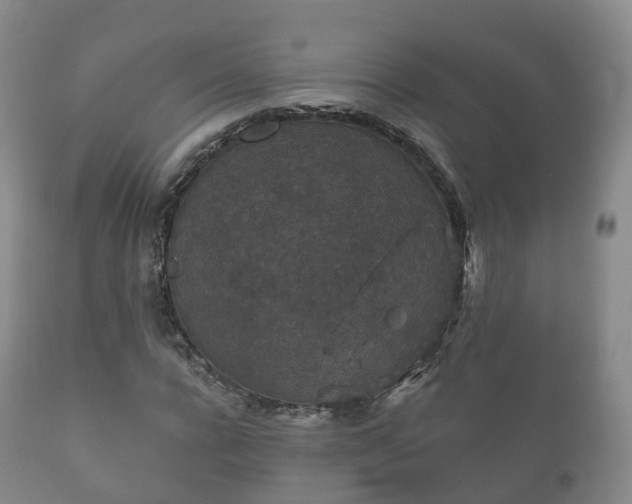X0000112350920200908201436