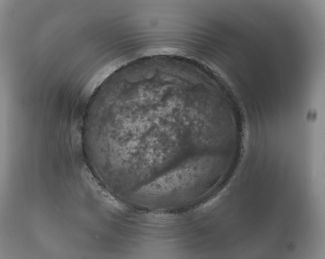 X0000112350921200908201436