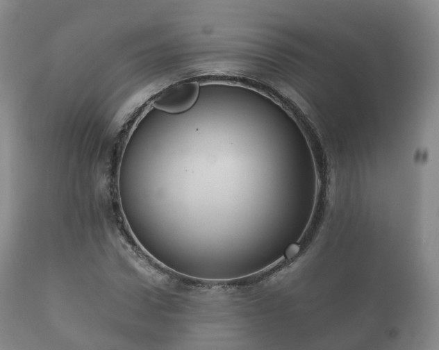 X0000112350922200908201436