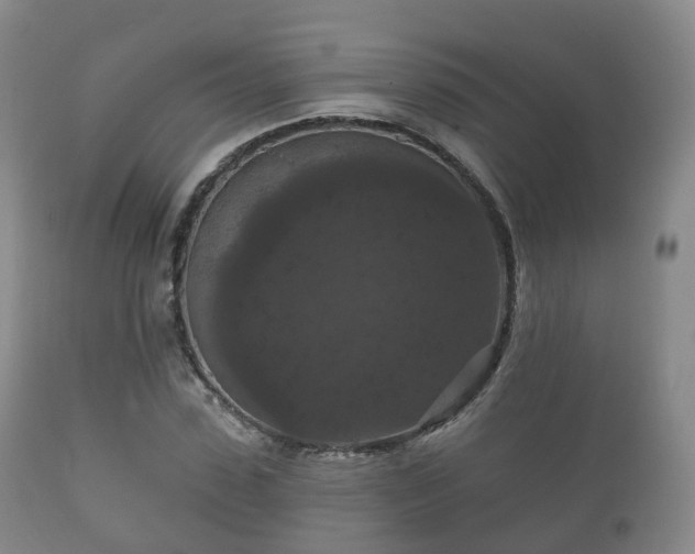 X0000112350923200908201436