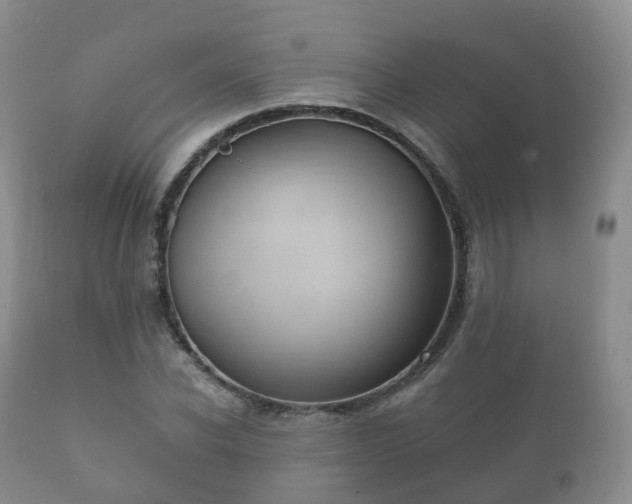 X0000112350926200908201436