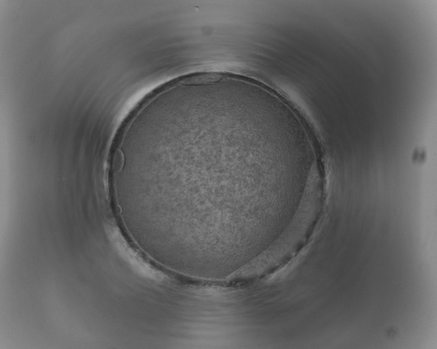 X0000112350932200908201436