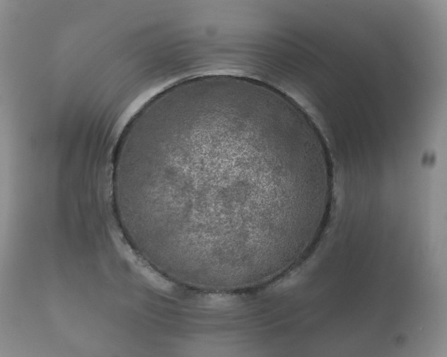 X0000112350933200908201436