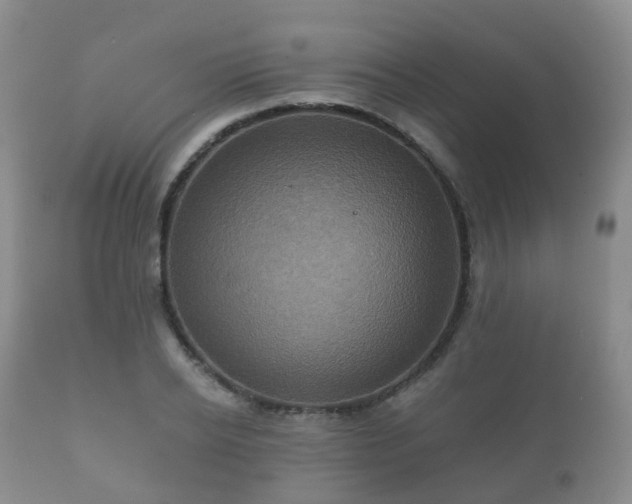 X0000112350934200908201436