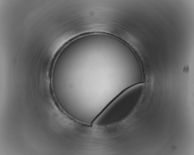 X0000112350936200908201436