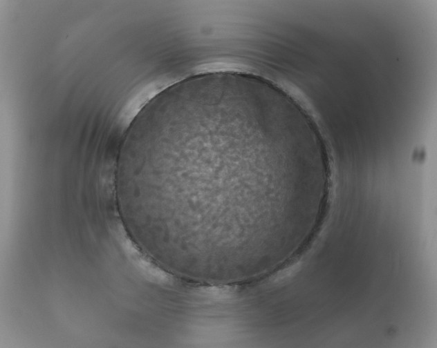 X0000112350937200908201436