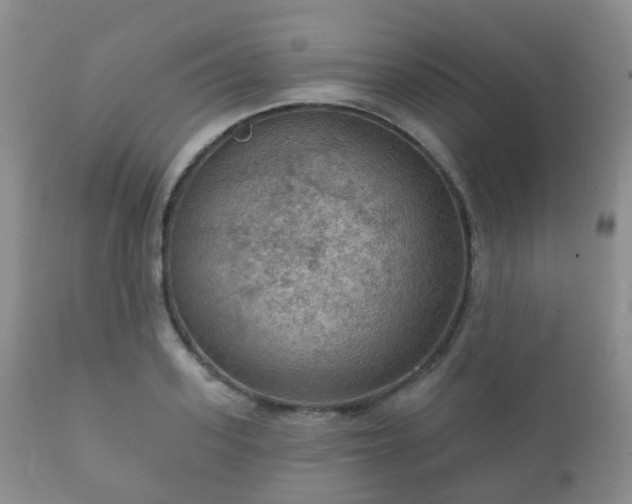 X0000112350939200908201436