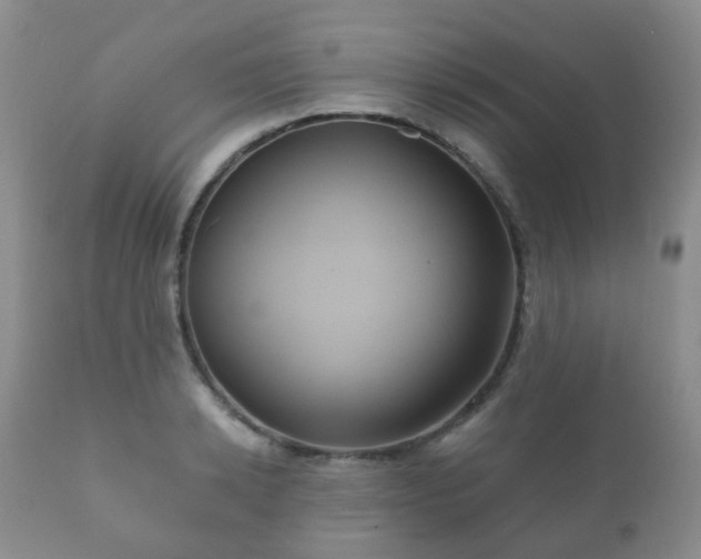 X0000112350942200908201436