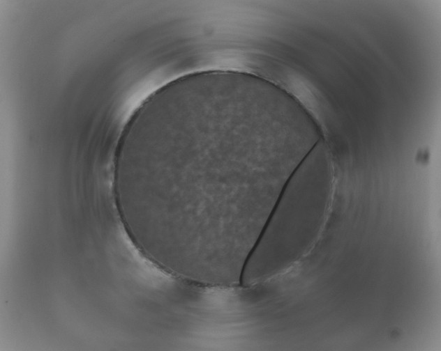 X0000112350944200908201436