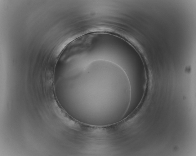 X0000112350945200908201436
