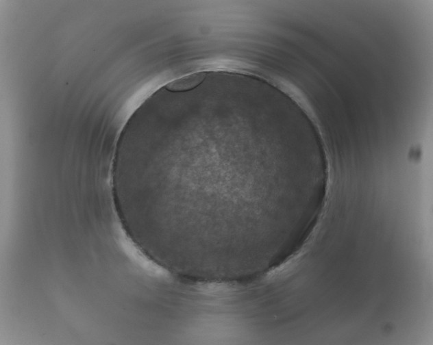 X0000112350946200908201436