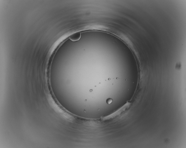 X0000112350947200908201436
