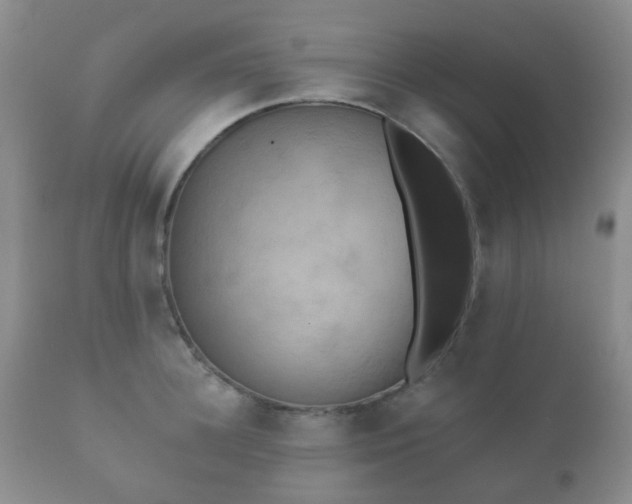 X0000112350948200908201436