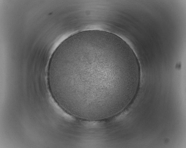 X0000112350949200908201436