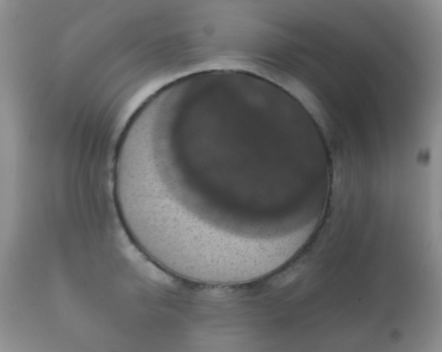 X0000112350950200908201436