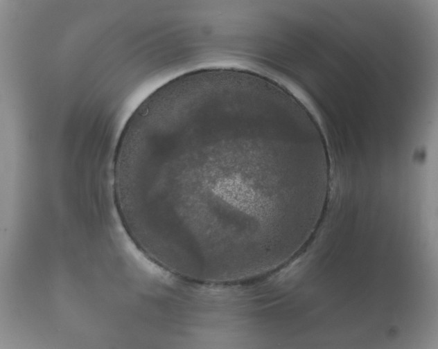 X0000112350951200908201436