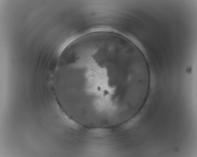 X0000112350953200908201437