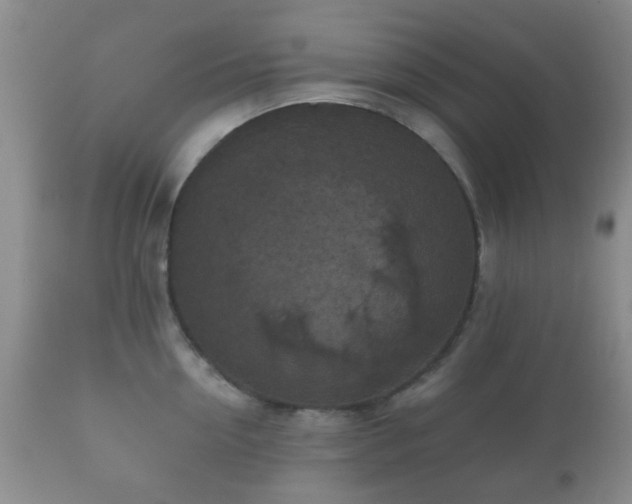 X0000112350954200908201437