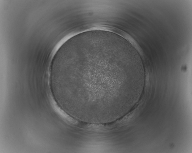 X0000112350955200908201437
