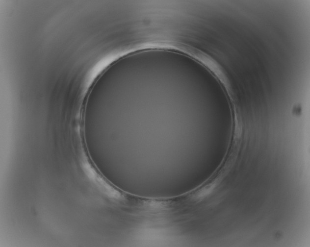 X0000112350958200908201437