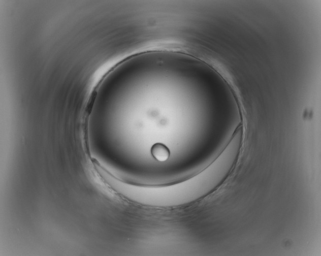 X0000112350960200908201437