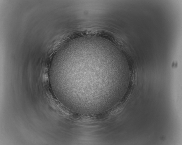 X0000112350962200908201436
