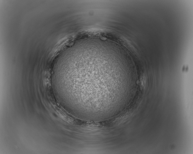 X0000112350964200908201436