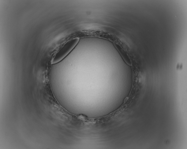 X0000112350965200908201436