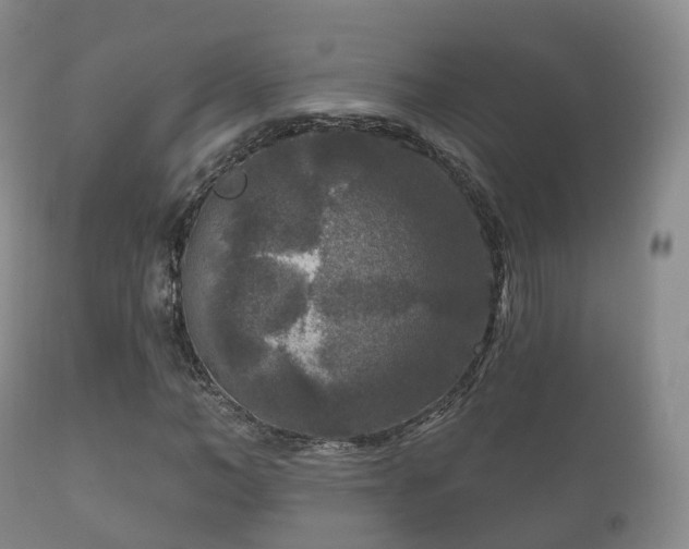 X0000112350966200908201436