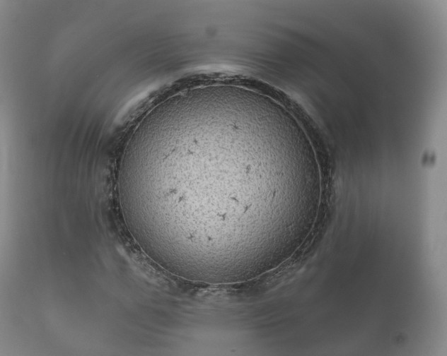 X0000112350967200908201436