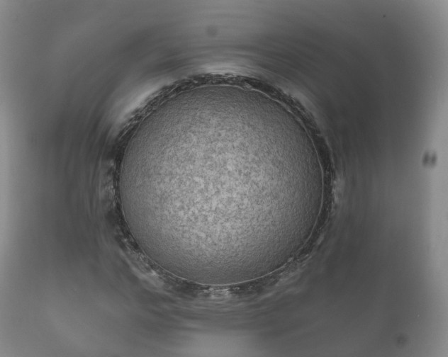 X0000112350968200908201436