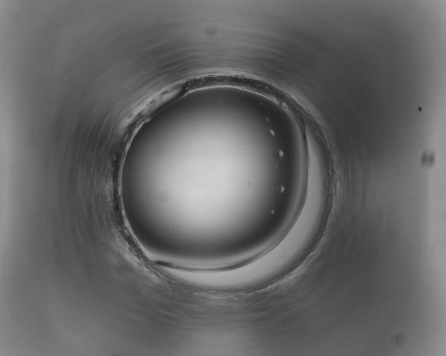 X0000112350969200908201436